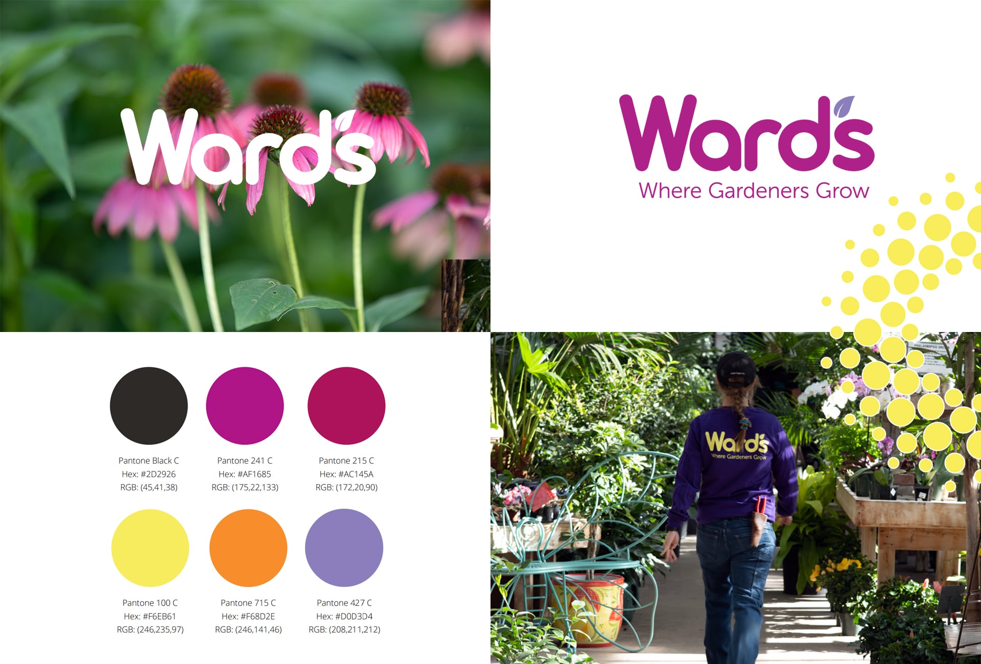 The finished logo and color palette for Ward’s Nursery