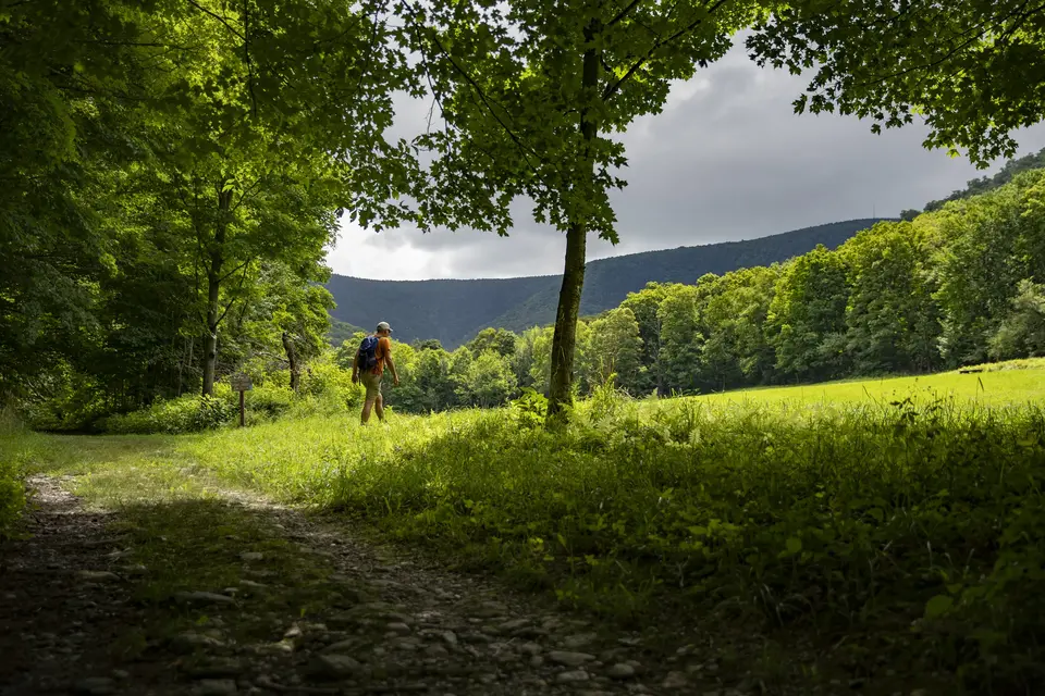 Cross-country skiing in the Berkshires